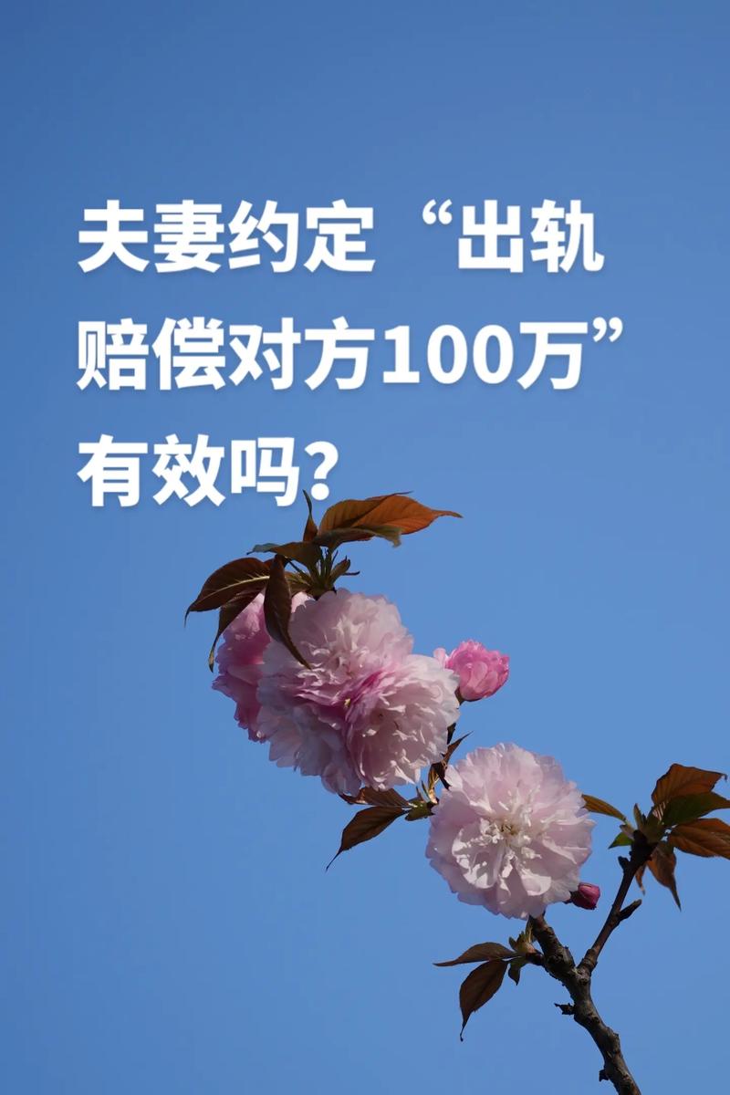 出轨赔偿精神损失费一般多少钱_出轨的赔偿_民法典1091条出轨赔偿