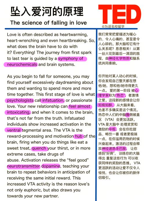 谈恋爱的整个过程_谈恋爱的过程_谈恋爱经过的几个阶段